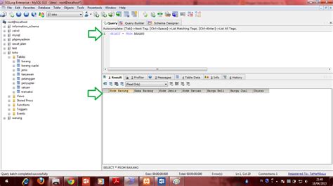 Image result for Contoh Data Requirement SQLyog