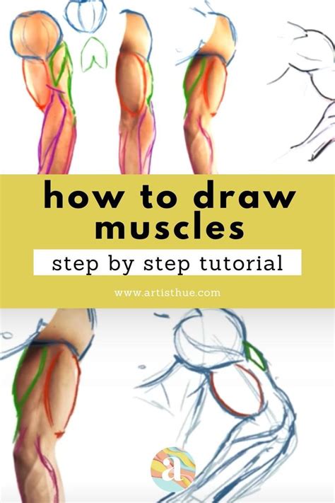 Drawing Muscles KS1 に対する画像結果