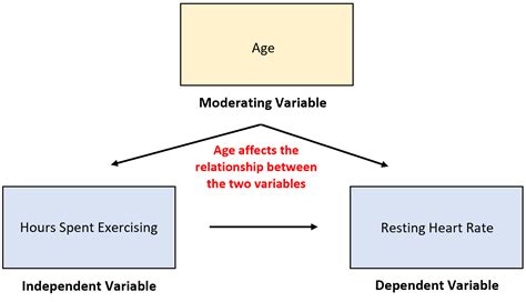 Afbeeldingsresultaten voor Moderating Variable Theoretical Framework