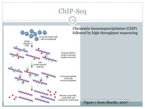Image result for Native ChIP-seq