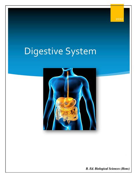 Image result for Human Digestive System Lesson Plan