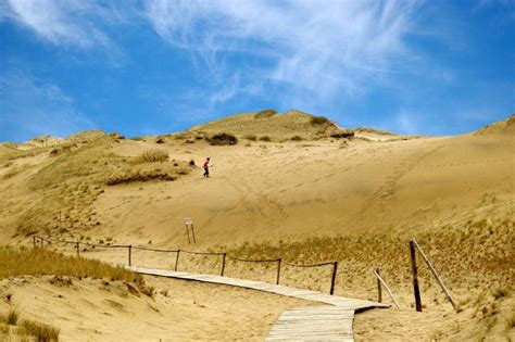 Litouwse Nida に対する画像結果