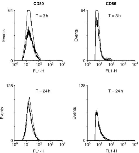 Image result for Sequential Gating Flow Cytometry
