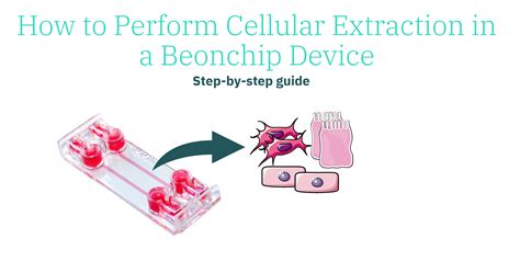 Image result for Real Cell Extractions