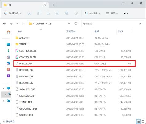 Open Pfile File に対する画像結果
