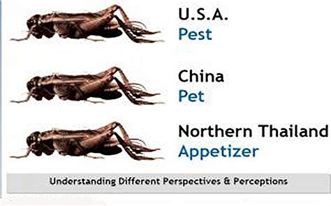 Image result for Different Perceptions
