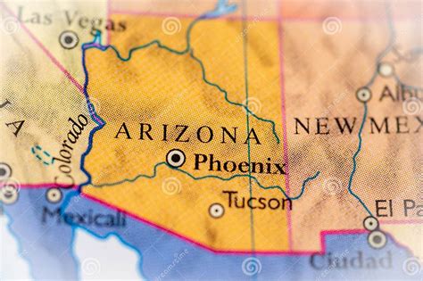 Image result for Arizona Desert Tarantula