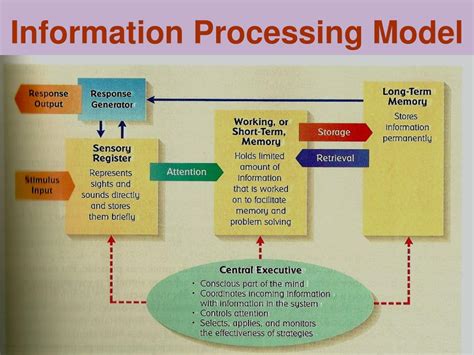 Image result for Memory Processing Model