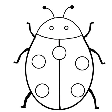 Image result for Insect Colouring