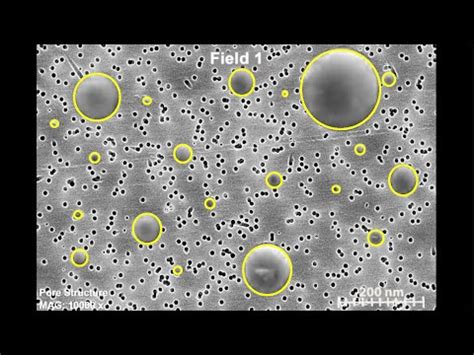 Toradh íomhá ar Particle Size Microscope