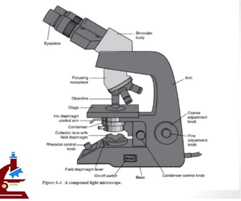 Image result for Labeled Diagram of a Compound Microscope