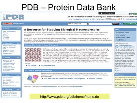 Image result for Protein Structure Database PPT