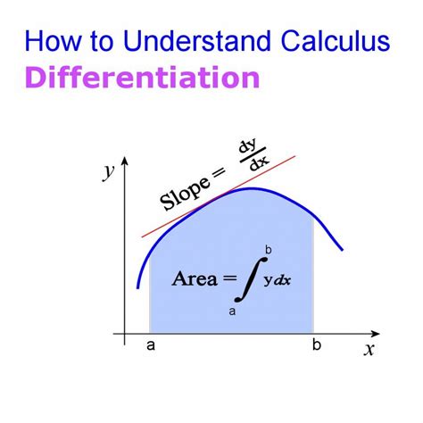 Image result for Calculus Types