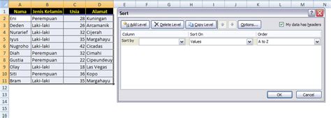 Excel Sorting Encode に対する画像結果