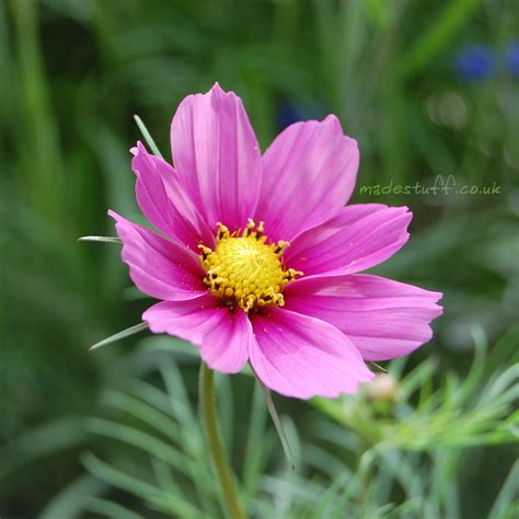 Hi-Def Computer Wallpaper に対する画像結果