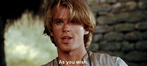 Afbeeldingsresultaten voor Wesley Princess Bride as You Wish