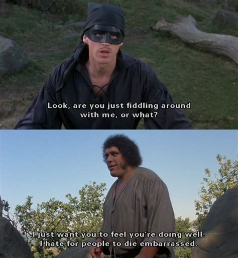 Image result for Princess Bride Memes I Quit