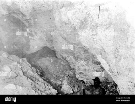 Afbeeldingsresultaten voor Sloth Dung