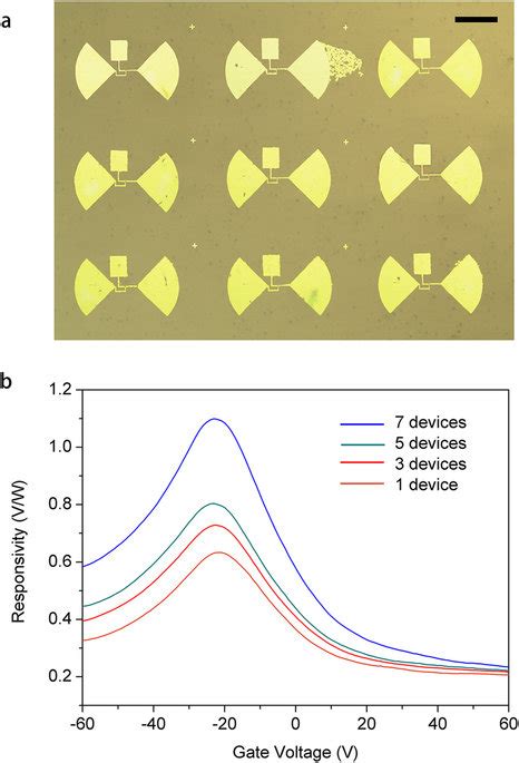 Image result for Terahertz Detector Array
