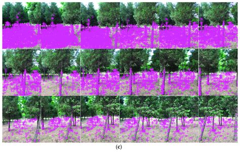 Toradh íomhá ar What Is a Software Interface