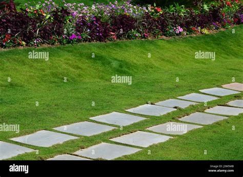 Image result for Square Background Pathway