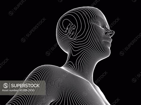 Afbeeldingsresultaten voor Body Contour Drawing