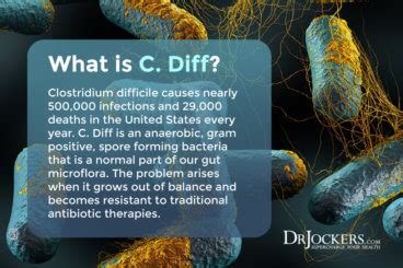 Image result for What Is C Diff