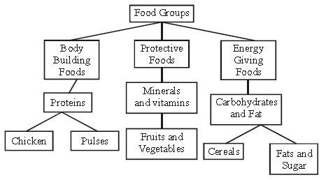 Class 6 Science Components of Food Worksheet に対する画像結果