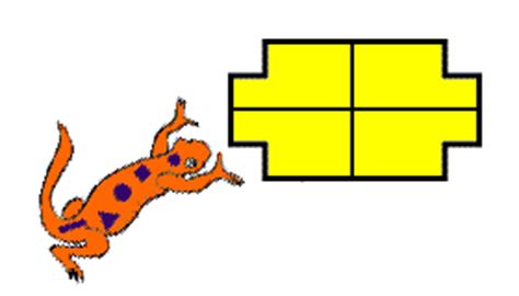 Image result for Math Salamanders Symmetry Building