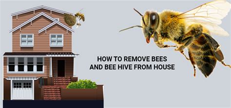 Image result for How to Repel Bumble Bees