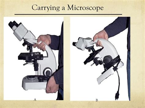 Afbeeldingsresultaten voor Hand Carry Microscope