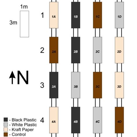 Image result for Randomized Complete Block Design Layout