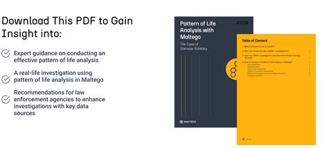 تصویر کا نتیجہ برائے Pattern of Life Grid Visual