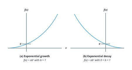 Example of Exponential Graphs Biology に対する画像結果