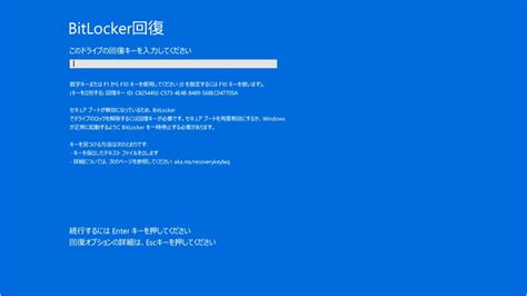 Image result for Advanced Options BitLocker Startup Repair