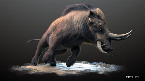 Image result for Boar Python