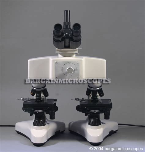 Image result for High Power Field Microscope