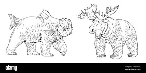Toradh íomhá ar Moose Head Vector Coloring Page