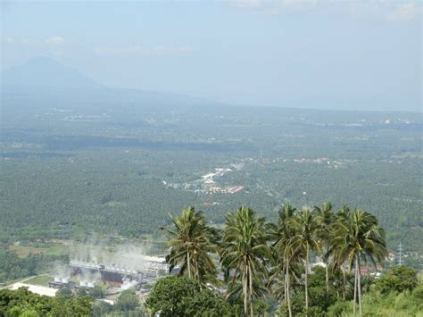 Image result for Python Bitin