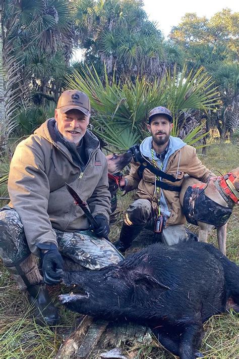 Toradh íomhá ar Python Hunting Pig
