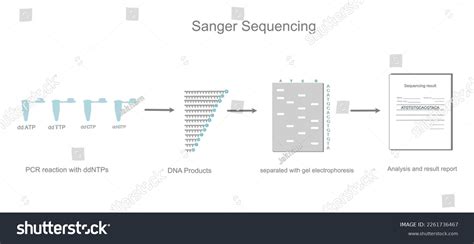 Sequencing Workflow-এর ছবি ফলাফল
