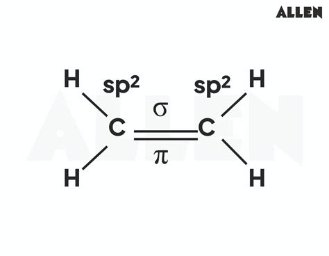 Image result for Hybridization of Carbon Diagram