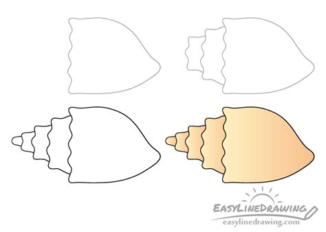 Image result for How to Draw a Shell Step by Step