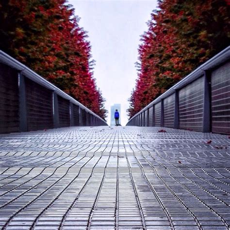 Camera Viewpoints に対する画像結果