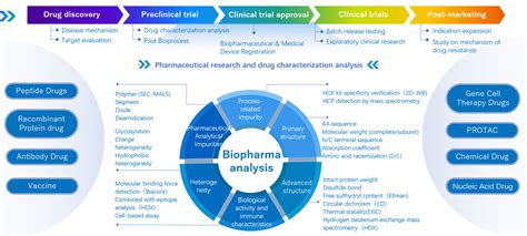 Two Types of Process Analysis に対する画像結果