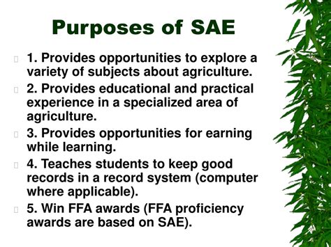 SAE Program に対する画像結果