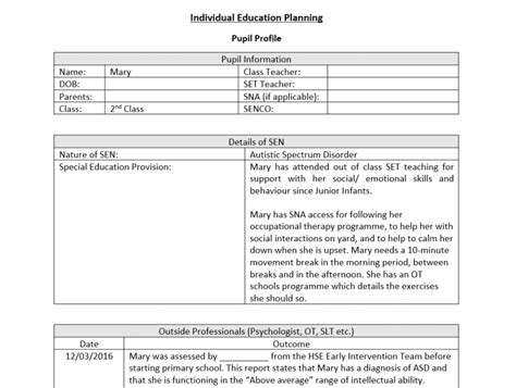 Image result for IEP Plan Expample
