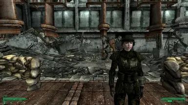 Image result for Fallout 4 Perk Menu