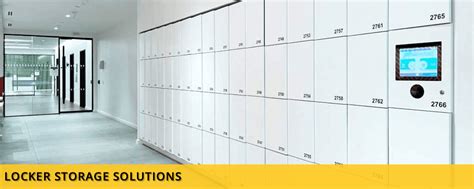 Image result for Home Locker Storage