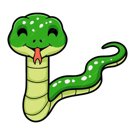 Image result for Cartoon Python Image around a Tree